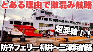 【防予フェリー】一年に一度だけ大混雑する航路 柳井〜三津浜 往復旅 総集編