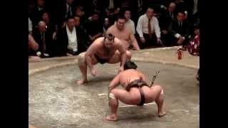 琴欧洲VS妙義龍 2012年9月29日 栃乃洋引退相撲