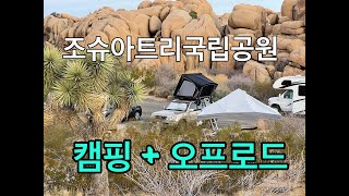 미국 서부여행 I 조슈아 트리 국립공원 캠핑 팁 \u0026 오프로드 Jumbo Rocks I Geology Tour Road I Berdoo Canyon Road