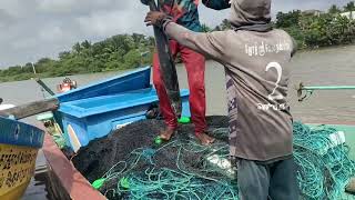 மீன் விற்கும் காணொளி 🔥🚤🐟🐟.....