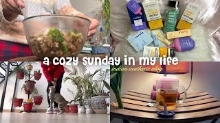 a cozy day in my life vlog 🌥️🐱🌿 food, nykaa haul, meow plays, selfcare \u0026 more!!