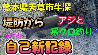 243-【フカセ釣り】熊本県天草市牛深の堤防で強風に耐えてアジと寒クロ釣り