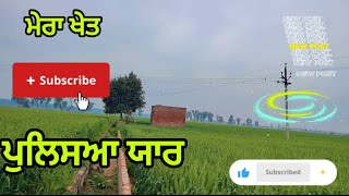 🙄  MY FARMFull Bilog video#viralvideo #bilogger#farming#farmbilog#likeforlikes  #trendingvideo#love#