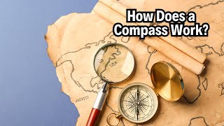 How Does a Compass Work | Easy Science Questions Answered! #compass #scienceeducation