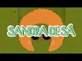 Sandra De Sá - Olhos Coloridos (Letra) ᵃᑭ