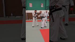 Exercice d'enchaînement de combat Gyaku Shita Tsuki, Hiza Geri, Mawashi Geri Jodan #shidokan