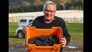 Apsley Gorge Harvest Tasmania