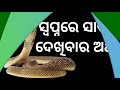 swapna re sapa dekhibara artha ସ୍ବପ୍ନରେ ସାପ ଦେଖିବାର ଅର୍ଥ odia