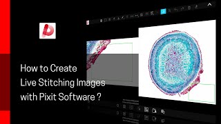 How to Create Live Stitching Images with Pixit Software?