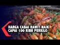 Harga Cabai Rawit Naik Capai 100 Ribu Perkilo