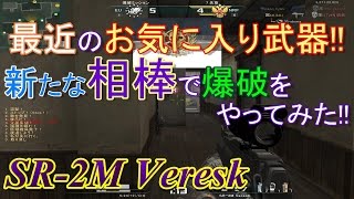 【AVA】瑠己の爆破成長日記part71【SR-2M Veresk】