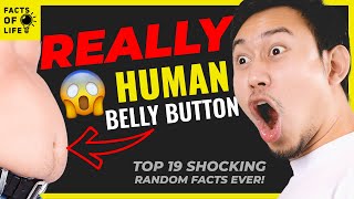 19 AMAZING Random Facts You Probably Didn't Know | Facts of Life