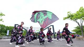 【４K】あだたらYOSAKOI踊り隊「ロカビリーに恋して」★福島空港まつり/YOSAKOI祭り2024/福島空港公園会場/午後の部/2024.05.12/Lumix S5Ⅱ