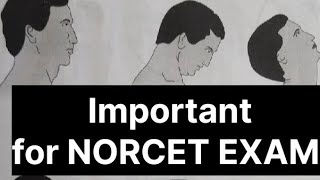 important for NORCET exam #nursingofficer #aiimsrishikesh #norcet #norcet #viral