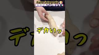 【全粒粉食パン】Pane integrale ダイエット中なので全粒粉で食パンを作るイタリア人🇮🇹#shorts #国際結婚#全粒粉#ダイエット#イタリア