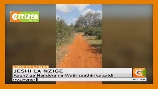 Nzige wavamia maeneo ya kaskazini mashariki