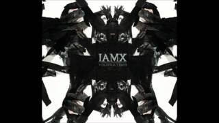 IAMX - Avalanches (US Version)