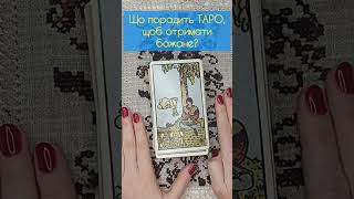 Чи отримаєте ви те, що хочете? ТАРО відповідають ТАК/НІ #таро #ворожіння #тароукраїнською