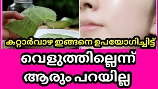 5 മിനിറ്റിൽ മുഖം വെളുക്കാൻ കറ്റാർവാഴ യോടൊപ്പം എല്ലാവരുടെ വീട്ടിലുമുള്ള ഈ ഒരു ചേരുവ ചേർത്താൽ മാത്രം