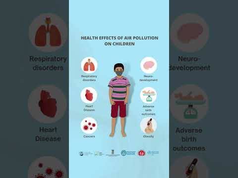 How does air and water pollution affect the environment?