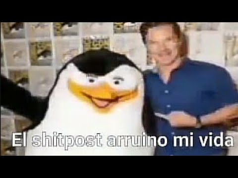 Shitpost Compilation 29 Youtube
