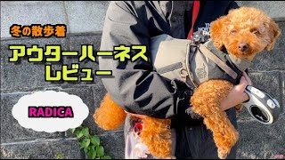 【RADICA】デカプーの冬の散歩着はこれ！アウター型ハーネスを購入してみた【#トイプードル #子犬#パピー】