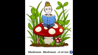 אוזניית הכלך Pleurotus еryngii