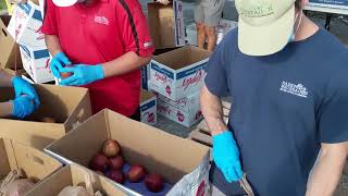 Drive-Thru Food Distribution Event at Mills Pond Park