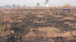 इचलकरंजी जवळच्या जांभळी इथल्या ऑक्सिजन पार्कवर आग लागून ६०० झाडं होरपळली