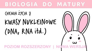 Chemia życia 7 🧪 Kwasy nukleinowe, DNA i RNA - biologia do matury liceum