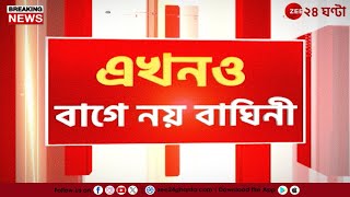 Tigress Yamuna | বাঘিনীর আতঙ্কে ঘরবন্দি বান্দোয়ানের বাসিন্দারা | Zee 24 Ghanta