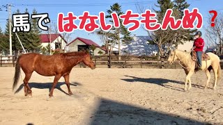 馬版 はないちもんめ❓