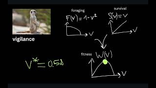 EvoBioCC Lecture on Adaptive Dynamics