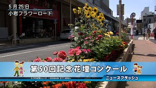 第50回記念花壇コンクール