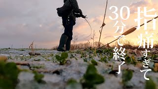 【八郎潟 バス釣り】3月初旬。みんな大好きな音羽排水の水路の様子を伺いに行ってきました。