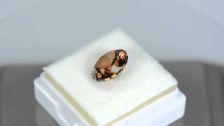 6.92ct Zircon