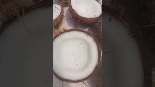 கொப்பரை  தேங்காய் செய்முறை/ Coconut copra process