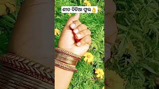 #viralvideo  ଶୀତ ଦିନିଆ ଗେନ୍ଦୁ ଫୁଲ//#garden winter season flower 🌹🌹🌹🌹🌹🌹🌹🌹🌹🌹🌹🌹🌹🌹