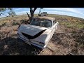 holden ej special sedan paddock fresh. old holden left in wheat field not a barn find .