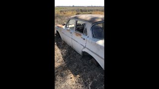 Holden EJ Special sedan, Paddock fresh. Old Holden left in wheat field,  not a barn find .