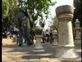 Fighting For Survival - Zimbabwe