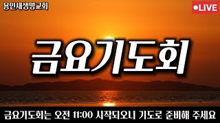 하나님의 뜻을실현하는, 용인새생명교회 라이브 방송