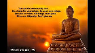 Buddha Quotes- @Quotesfortheday #buddha  #quotes  #shorts short  #QuotesfortheDay #buddhism