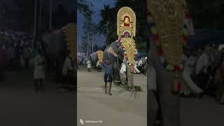 കേരളത്തിലെ 🐘🐘ഗജവീരന്മാർ 🐘🐘🐘🐘 ആരൊക്കെയാണെന്ന് മനസ്സിലായോ