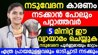 നടുവേദന കാരണം നടക്കാൻ പോലും പറ്റാത്തവർ 5 മിനിറ്റ് ഈ വ്യായാമം ചെയ്ത് നോക്കൂ