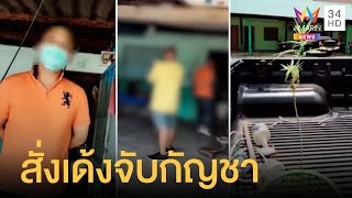 สั่งเด้ง 4 ตร.จับป้าปลูกกัญชา 1 ต้น นอนคุกเพราะหาเงินประกันไม่ได้