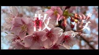 初音ミク 『散り桜』(オリジナル曲)