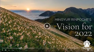 Mingyur Rinpoche's Vision for Tergar International