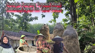 Nuansa Klasik Dan Alami Kampung Pinggir Hutan 