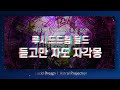 듣고만 자세요! 자각몽 딜드 유도 음악 | Lucid Dream